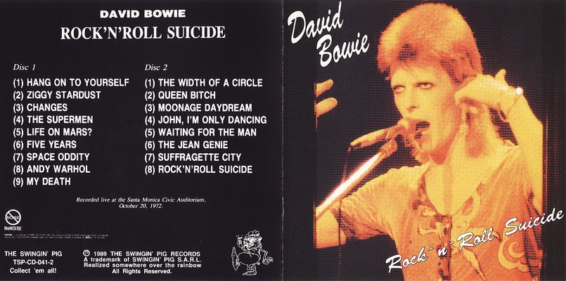 Rock'n'Roll Suicide