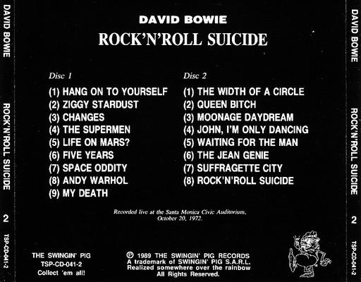 Rock'n'Roll Suicide